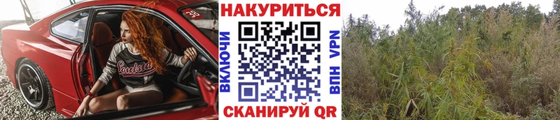 Купить Канабис  АМФЕТАМИН  Метадон  ГАШИШ  Cocaine  Меф  СК  Кубинка
