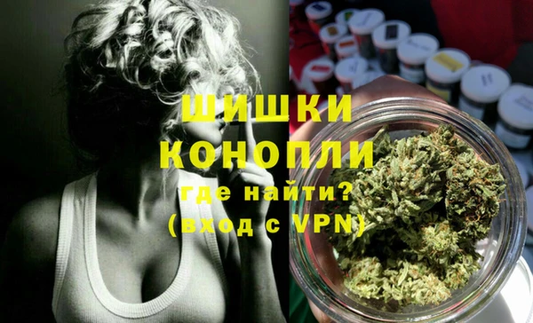 прущий лед Гусев