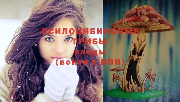 прущий лед Гусев