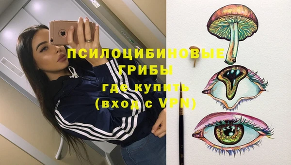 прущий лед Гусев