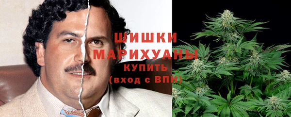 прущий лед Гусев