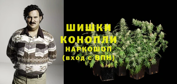 гашик Россошь