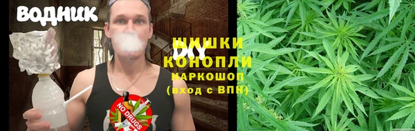 прущий лед Гусев